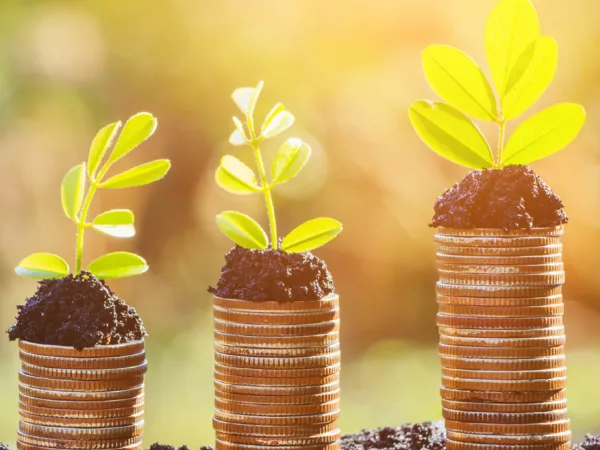 Three piles of coins with small plants appearing to grow out of the top.